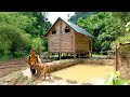 Build a farm with a full range of vegetable gardens and fish ponds (p2) | 2 Year Living Off Grid