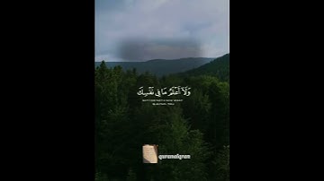 سورة المائدة القارئ #ياسر_الدوسري ‎@islam_sobhi@Sonic_islami#فلسطين#السعودية#المغرب#الجزائر#مصر#تونس