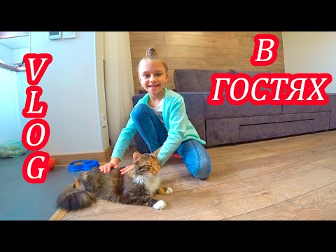 VLOG В Гостях