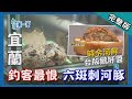 宜蘭【深山美食教堂麵包 / 黑手小提琴家 / 時令河鮮 六斑刺河豚全宴】│2018.03.06│《台灣第一等》246集完整版