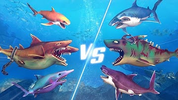 Double Head Shark Attack - Hungry Shark Two Headed Sharks Gameplay (iOS/Android)