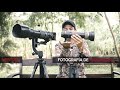 FOTOGRAFÍA de Aves y NATURALEZA | Cual lente usar | Bird Photography