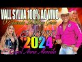 Vall sylva o estourado de minas gerais 100 ao vivo 2024