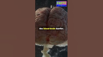 What will happen if you drink Mercury? 🌡️