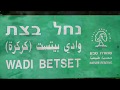 ישראל טבע נחל בצת Израиль природа поток Бецет Israel nature stream Betset