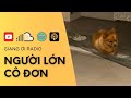 Người lớn cô đơn | Giang Ơi Radio