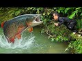 Dwarf Family Catches Giant Fish and Grills Outdoors | Primitive Survival Cooking