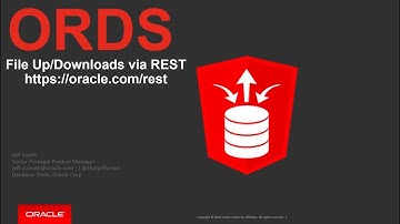 Building a Web Service for up and downloading files to Oracle Database