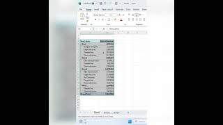 You Won't Believe These Crazy PIVOT TABLE Hacks! #excel #exceltips #exceltricks