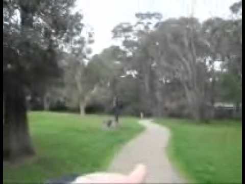 STEVE TV... pt5 Cleland Wildlife Park Mt Lofty.wmv