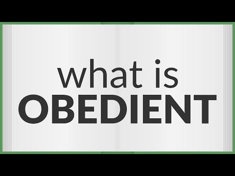 Wideo: Co to znaczy posłuszny?