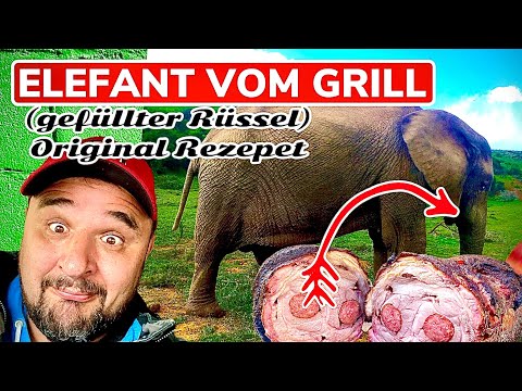 Video: Kannst du Elefantenfleisch essen?