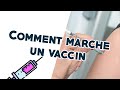 Comment marche un vaccin ? [cocotte science ep11]