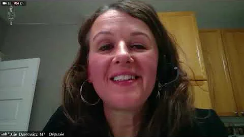 MP Dzerowicz Questions Bank of Canada Governor Stephen Poloz at Finance Committee