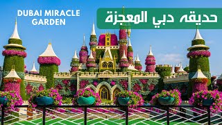 حديقه دبي المعجزة dubai miracle garden 🇦🇪