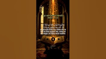 সূরা আল-আহযাব (মাদানি) | আয়াতঃ ০১-০৪ | Surah Al-Ahzab |سورة الأحزاب| মন খারাপের দিনে তেলোয়াত শুনুন🙂