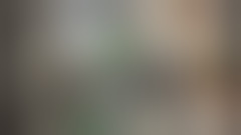 CPA Lead Tutorial How to Make Money