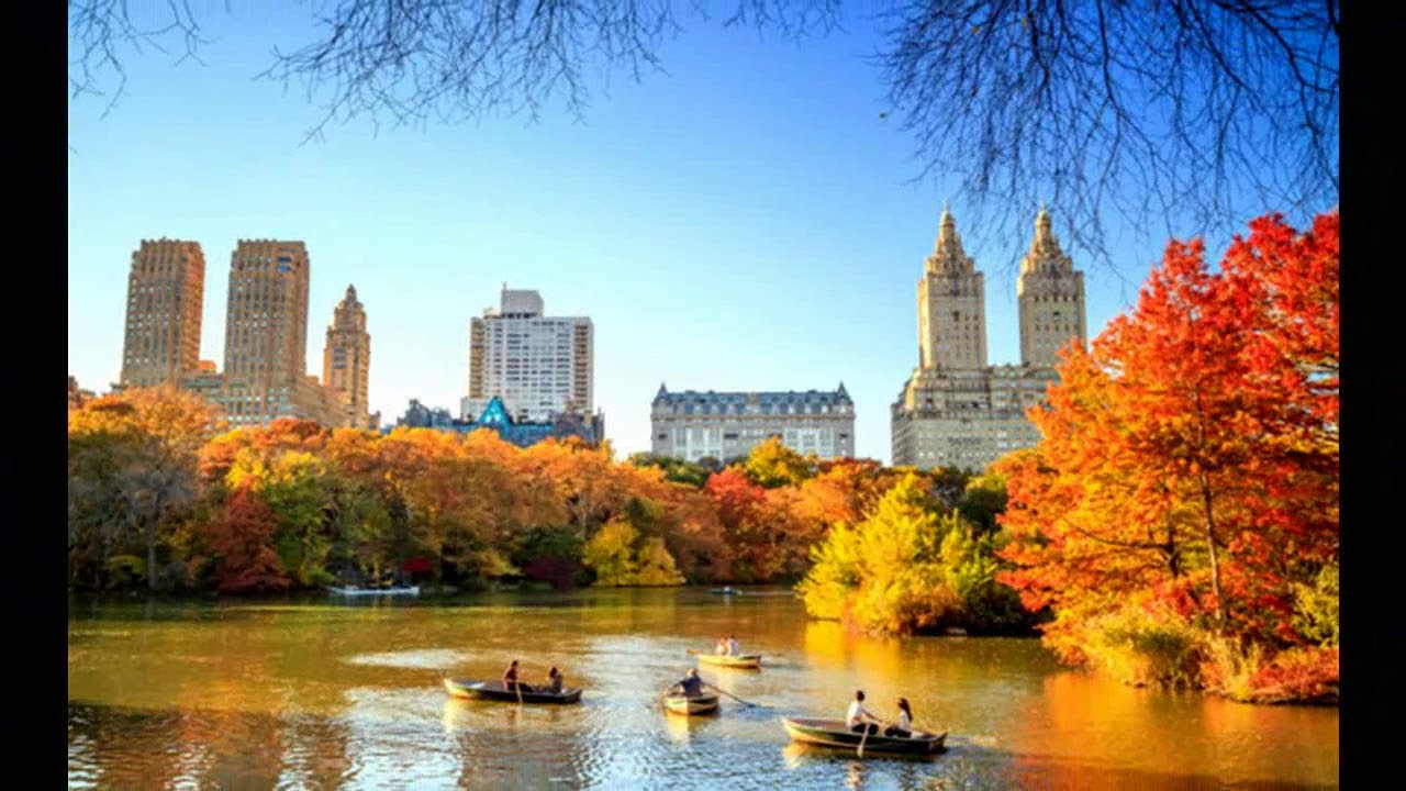 CENTRAL PARK - NEW YORK - AUTUMN - ! - YouTube