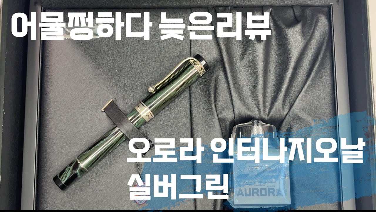 늦었습니다! 2024년 마지막펜!! 오로라인터나지오날 실버그린 #만년필 #오로라만년필