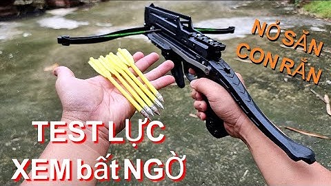 TEST SỬ DỤNG MŨI TÊN NỎ SĂN CON RẮN ĐỘ CHUẨN VÀ LỰC SẼ LÀM AE BẤT NGỜ