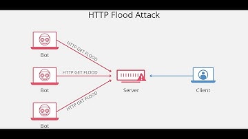 TCP SYN Flooded using hping3 || Network DoS using hping3