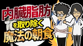 【話題作】「内臓脂肪を取り除く魔法の朝食」を世界一わかりやすく要約してみた【本要約】