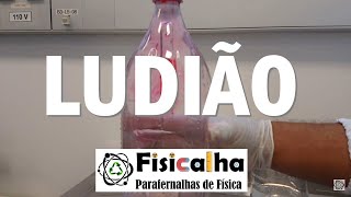 Ludião