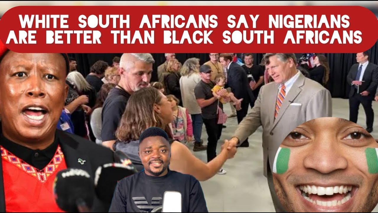 White South Africans Celebrate Nigerians Saying They are Better Than Black South Africans