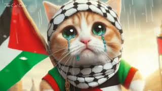 Kucing Sedih Palestina Kucing Lucu Ai Cat Cute Ai