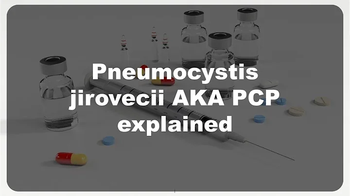 Pneumocystis jirovecii AKA PCP #31 explained