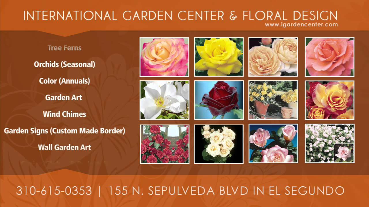 International Garden Center El Segundo Youtube