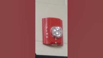 System Sensor Spectralert Advance Remote Strobe