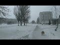 Прогулка по зимней Константиновке
