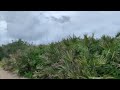 Exploring Dollman Beach in Jensen Beach Florida - Local Surf and Fishing Spot