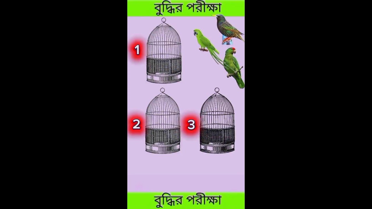 সবচেয়ে বুদ্ধিমান ছেলেকে দেখা যাবে এবার 😱 part 4 #shortlive#live