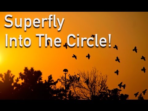 アリーナツアー16 Into The Circle Superfly スーパーフライ ライブdvd Youtube