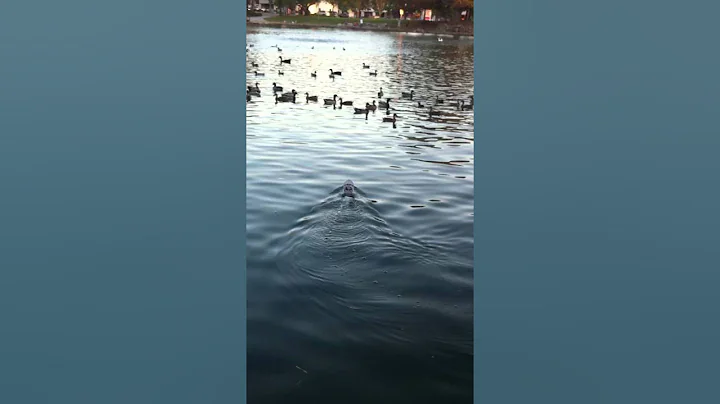 IMG 1913