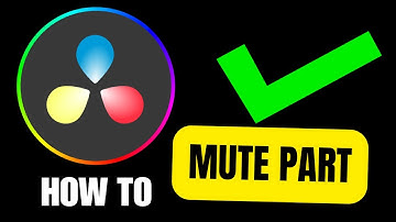How To Mute Part of Your Clip in Davinci Resolve (2024)