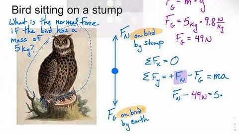 How to Write Net Force Equations