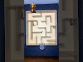 2 Bombardier Beetles vs Centipede | Maze Speed Race