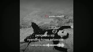 STORY WA 30 DETIK || story' lagu aku tenang