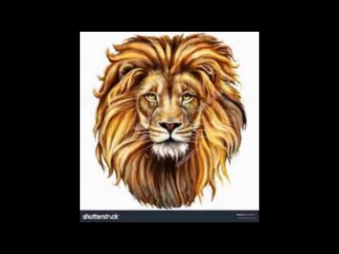 ბოლო სლაიდ შოუ ბოდისშით რო ვიდეოებს ვერ ვდებდი