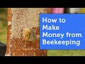 How to Make Money Beekeeping