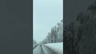 Трасса м5 Челябинск Екатеринбург - аварии , падают деревья