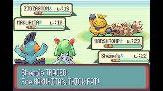 Pokemon Ruby Walkthrough Part 13: Mauville City