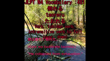 JLPT N4 Vocabulary :481 倒れるtaoreruたおれるIchidan verb, Intransitive verb to fall (over, down)#jlptn4