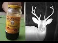 MOLASSES for ANIMAL ATTRACTANT - TRAIL CAMERA FOOTAGE