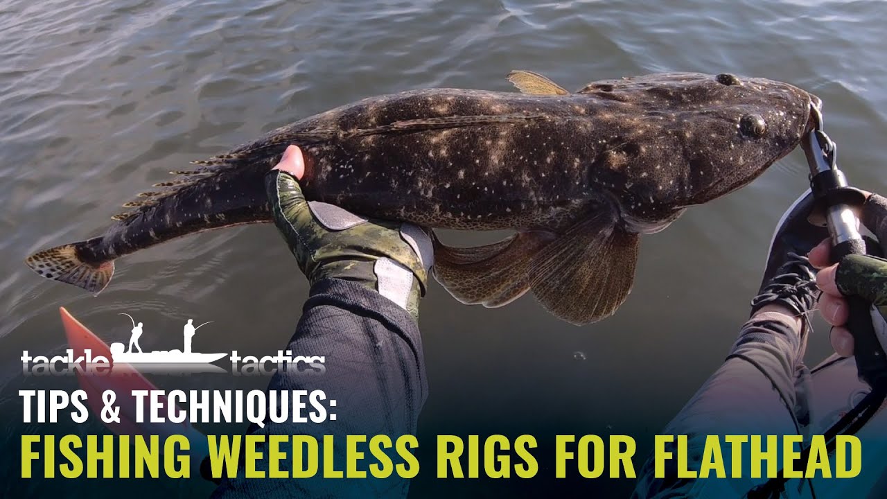 How to Rig and Fish Weedless for Flathead 