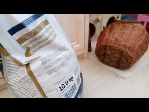 Огромный пакет корма Sanabel Обзор, состав и почему мы его покупаем