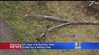 81-Year-Old Rowley Man Killed By Falling Tree